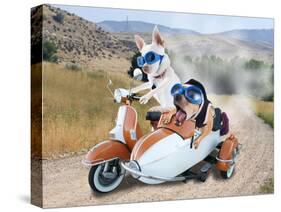 Two Chihuahuas In A Scooter-graphicphoto-Stretched Canvas