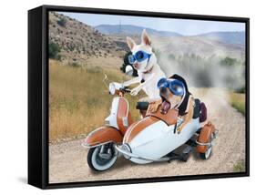 Two Chihuahuas In A Scooter-graphicphoto-Framed Stretched Canvas