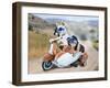 Two Chihuahuas In A Scooter-graphicphoto-Framed Photographic Print