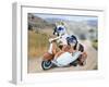 Two Chihuahuas In A Scooter-graphicphoto-Framed Photographic Print