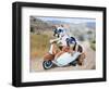 Two Chihuahuas In A Scooter-graphicphoto-Framed Photographic Print