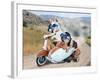 Two Chihuahuas In A Scooter-graphicphoto-Framed Photographic Print