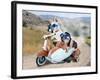 Two Chihuahuas In A Scooter-graphicphoto-Framed Photographic Print