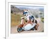 Two Chihuahuas In A Scooter-graphicphoto-Framed Photographic Print