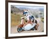 Two Chihuahuas In A Scooter-graphicphoto-Framed Photographic Print