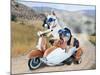 Two Chihuahuas In A Scooter-graphicphoto-Mounted Photographic Print