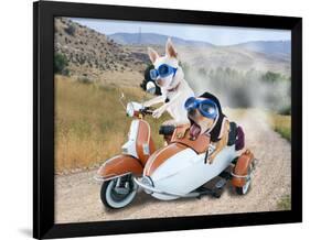 Two Chihuahuas In A Scooter-graphicphoto-Framed Photographic Print