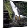 Two Children at a Pool, Dolgoch Falls, Tal-Y-Llyn Valley, Snowdonia National Park, Wales, 1969-Michael Walters-Mounted Photographic Print