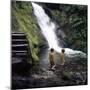 Two Children at a Pool, Dolgoch Falls, Tal-Y-Llyn Valley, Snowdonia National Park, Wales, 1969-Michael Walters-Mounted Photographic Print