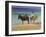 Two Children on Donkeys-Robert Tyndall-Framed Giclee Print