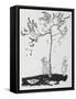 Two Children Try To Get a Cat Down From a Tree-Arthur Rackham-Framed Stretched Canvas