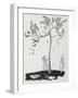 Two Children Try To Get a Cat Down From a Tree-Arthur Rackham-Framed Giclee Print