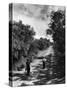 Two Children Walking Down a Dirt Road Going Fishing on a Summer Day-John Dominis-Stretched Canvas