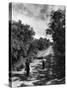 Two Children Walking Down a Dirt Road Going Fishing on a Summer Day-John Dominis-Stretched Canvas