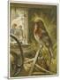 Two Children Watch a Robin the Barn Who is Standing on One Leg-John Lawson-Mounted Art Print
