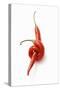 Two Chillies on White Background-Marc O^ Finley-Stretched Canvas