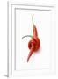 Two Chillies on White Background-Marc O^ Finley-Framed Photographic Print