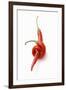 Two Chillies on White Background-Marc O^ Finley-Framed Photographic Print