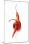 Two Chillies on White Background-Marc O^ Finley-Mounted Photographic Print