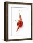 Two Chillies on White Background-Marc O^ Finley-Framed Photographic Print