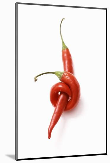 Two Chillies on White Background-Marc O^ Finley-Mounted Photographic Print