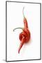 Two Chillies on White Background-Marc O^ Finley-Mounted Photographic Print
