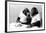 Two Chimpanzees celebrating Easter-Staff-Framed Photographic Print