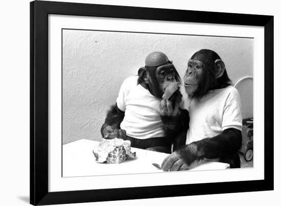 Two Chimpanzees celebrating Easter-Staff-Framed Photographic Print