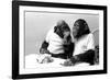 Two Chimpanzees celebrating Easter-Staff-Framed Photographic Print