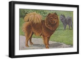 Two Chow Dogs Standing-Louis Agassiz Fuertes-Framed Art Print