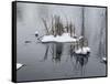 Two Cluster Of Reeds In Snow On Icy Pond-Anthony Paladino-Framed Stretched Canvas