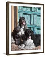 Two Cocker Spaniels in Front of an Old Southwestern Style Doorway, New Mexico, USA-Zandria Muench Beraldo-Framed Premium Photographic Print