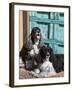 Two Cocker Spaniels in Front of an Old Southwestern Style Doorway, New Mexico, USA-Zandria Muench Beraldo-Framed Premium Photographic Print