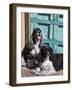 Two Cocker Spaniels in Front of an Old Southwestern Style Doorway, New Mexico, USA-Zandria Muench Beraldo-Framed Photographic Print