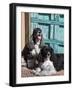 Two Cocker Spaniels in Front of an Old Southwestern Style Doorway, New Mexico, USA-Zandria Muench Beraldo-Framed Photographic Print