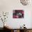 Two Cocker Spaniels Together on a Mexican Blanket, New Mexico, USA-Zandria Muench Beraldo-Photographic Print displayed on a wall