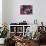 Two Cocker Spaniels Together on a Mexican Blanket, New Mexico, USA-Zandria Muench Beraldo-Photographic Print displayed on a wall