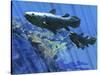 Two Coelacanth Fish Swimming Undersea-null-Stretched Canvas