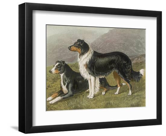 Photographic Print, , large