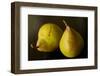 Two Comice Pears Sit Elegantly on a Black Background-Cynthia Classen-Framed Photographic Print