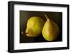 Two Comice Pears Sit Elegantly on a Black Background-Cynthia Classen-Framed Photographic Print