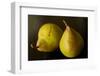 Two Comice Pears Sit Elegantly on a Black Background-Cynthia Classen-Framed Photographic Print