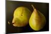 Two Comice Pears Sit Elegantly on a Black Background-Cynthia Classen-Mounted Photographic Print