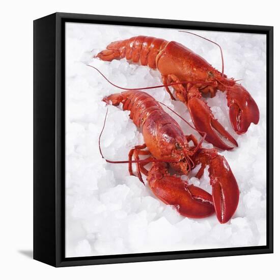 Two Cooked Lobsters on Ice-Jürgen Holz-Framed Stretched Canvas