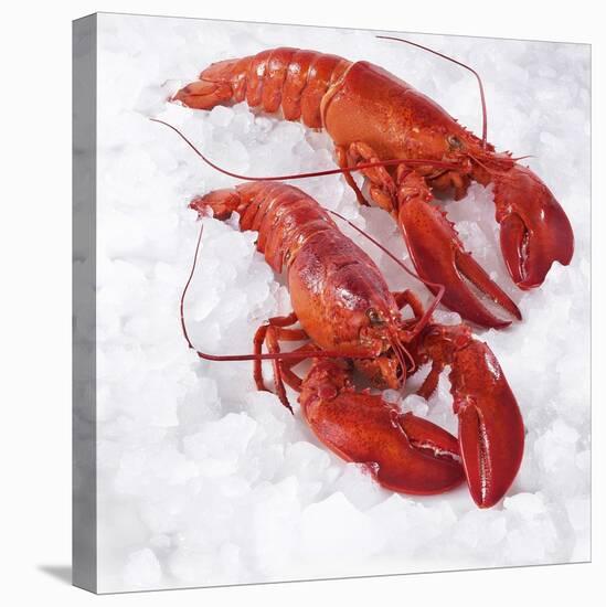 Two Cooked Lobsters on Ice-Jürgen Holz-Stretched Canvas