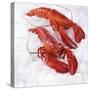 Two Cooked Lobsters on Ice-Jürgen Holz-Stretched Canvas