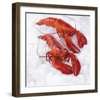 Two Cooked Lobsters on Ice-Jürgen Holz-Framed Photographic Print