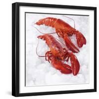 Two Cooked Lobsters on Ice-Jürgen Holz-Framed Photographic Print