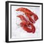 Two Cooked Lobsters on Ice-Jürgen Holz-Framed Photographic Print