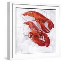 Two Cooked Lobsters on Ice-Jürgen Holz-Framed Photographic Print